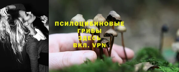 дмт Верхний Тагил