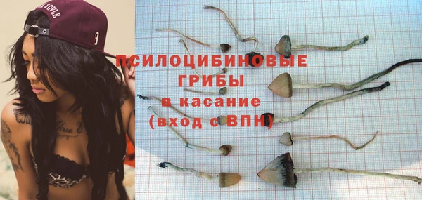 СК Верея