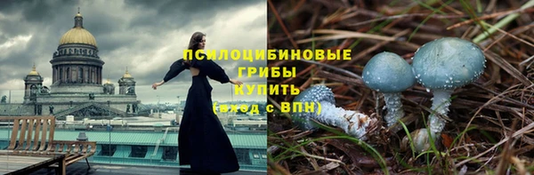 СК Верея